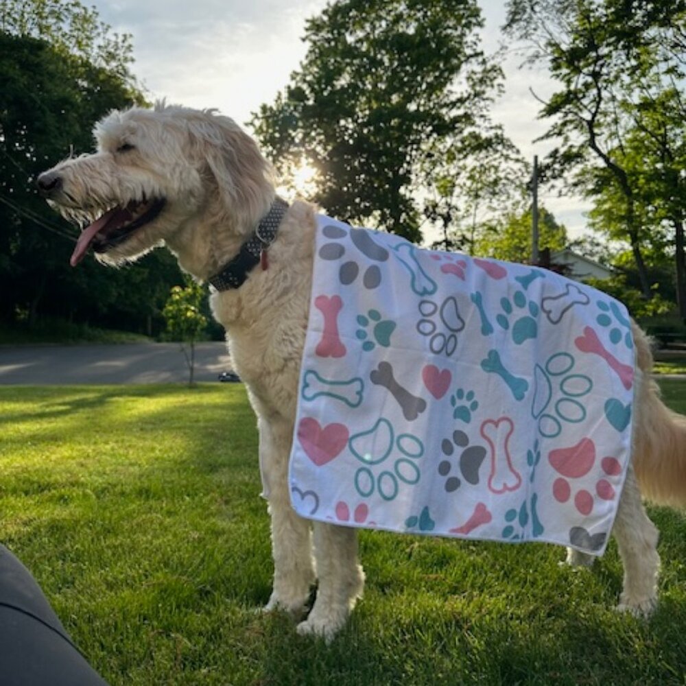 "Pawsitively Dry, Pawsitively Happy" Multi Use Pet Towels.